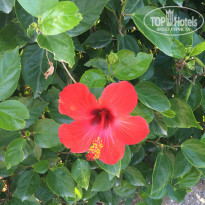 фото из отзыва ID 2010518