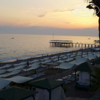 фото из отзыва ID 2011477