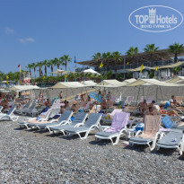 фото из отзыва ID 2011477