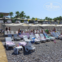 фото из отзыва ID 2011477