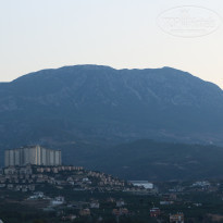 фото из отзыва ID 2013036