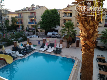 Palmea Hotel 4* Вид из номера - Фото отеля
