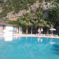 фото из отзыва ID 2013233