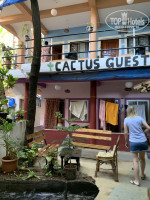 Cactus Guesthouse 