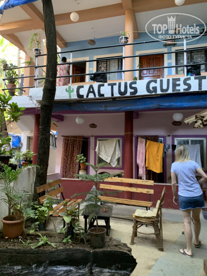 Фотографии отеля  Cactus Guesthouse 