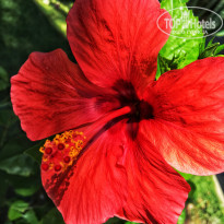 фото из отзыва ID 2024674