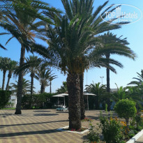 фото из отзыва ID 2024863