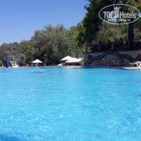 фото из отзыва ID 2025825