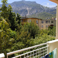 фото из отзыва ID 2031134