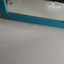 фото из отзыва ID 2031134