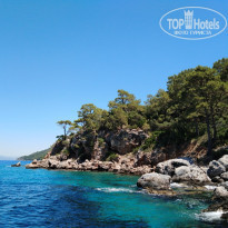 фото из отзыва ID 2031305