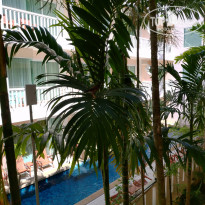 фото из отзыва ID 2032469