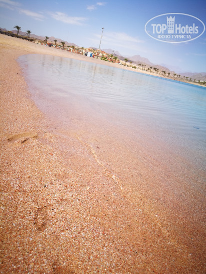 Barcelo Tiran Sharm 5