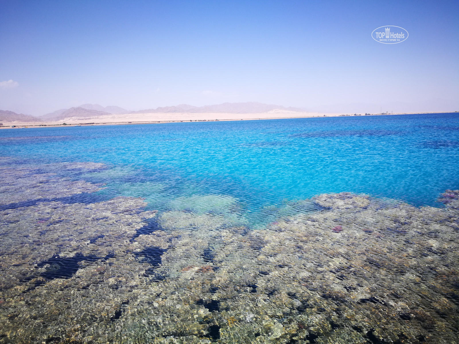 отель barcelo tiran sharm