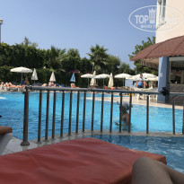 фото из отзыва ID 2033492