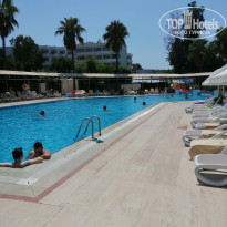 фото из отзыва ID 2033949