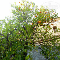 фото из отзыва ID 2034417