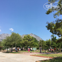 фото из отзыва ID 2035944