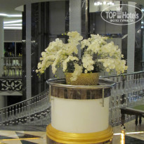 фото из отзыва ID 2037695