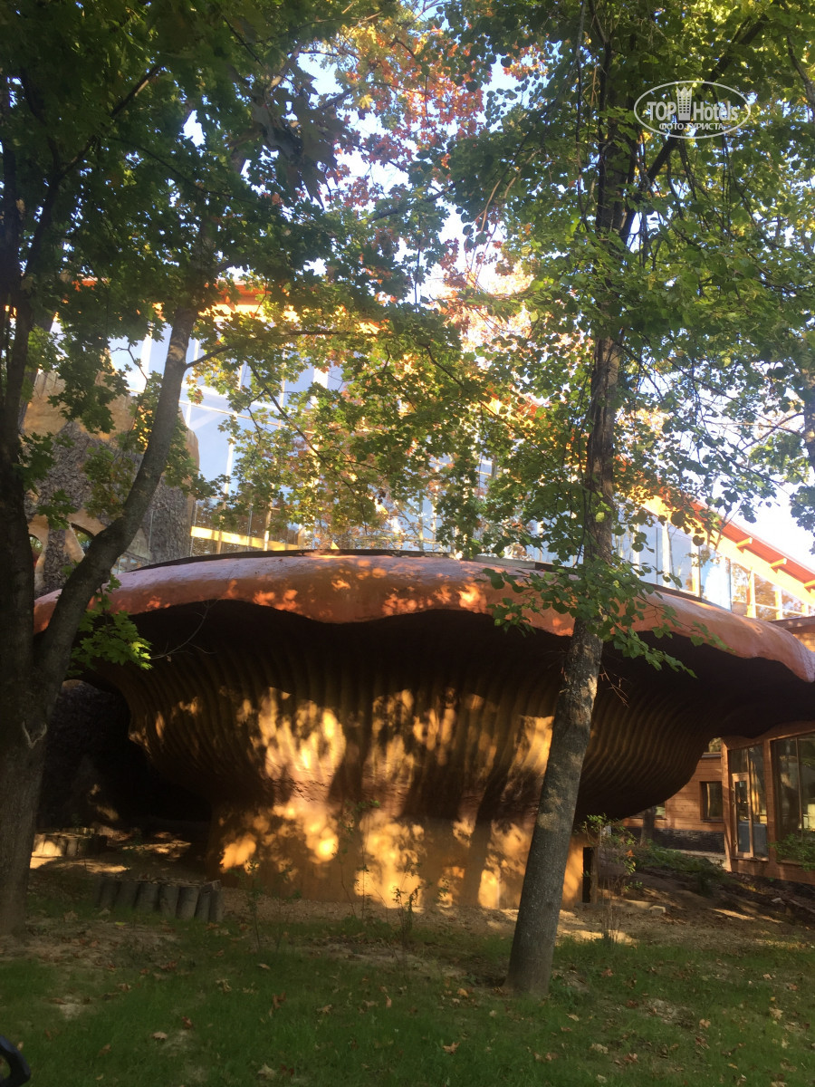 солнечный парк отель бассейн гриб