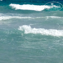 фото из отзыва ID 2041968