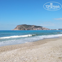 фото из отзыва ID 2042159