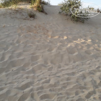 фото из отзыва ID 2044157