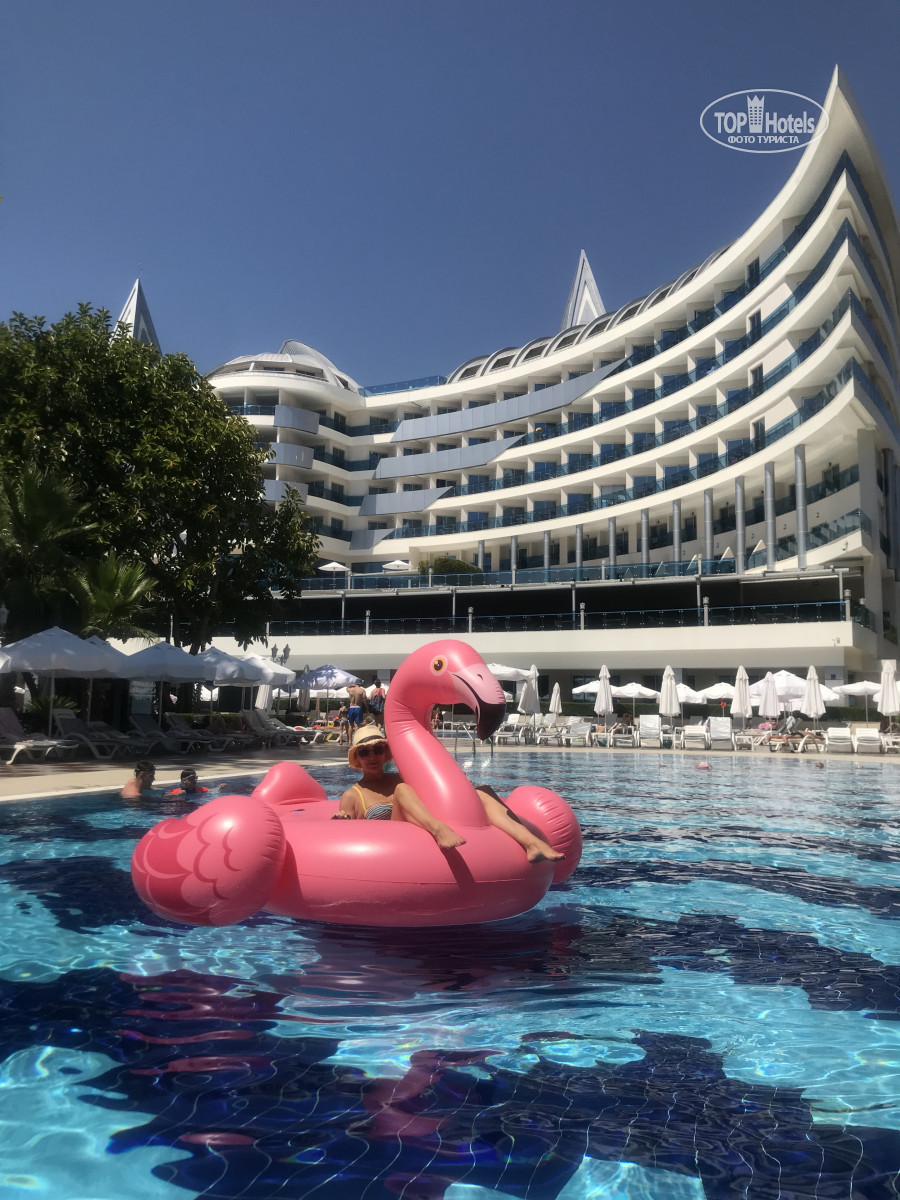 Дельфин ботаник платинум отель. Турция отель дельфин ботаник платинум. Delphin platinum 5. Botanik platinum турция аланья. Турция отель дельфин ботаник платинум.