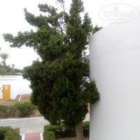 фото из отзыва ID 2049478