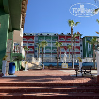 фото из отзыва ID 2049537