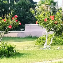 фото из отзыва ID 2050355