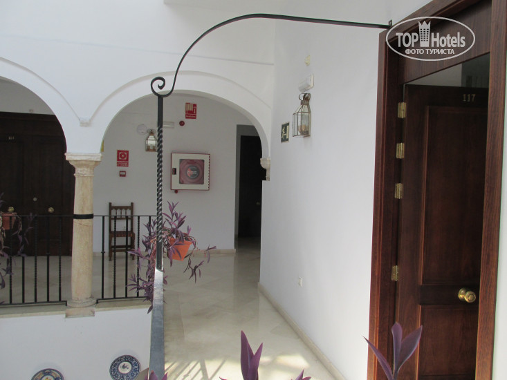 New photos from tourists Marisa Hotel 2*