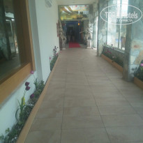 фото из отзыва ID 2055028