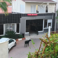 фото из отзыва ID 2057576