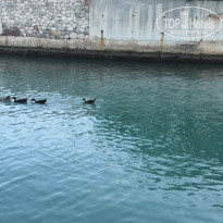 фото из отзыва ID 2057576