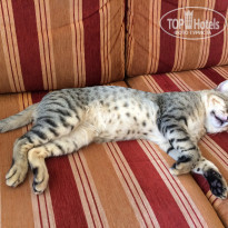 фото из отзыва ID 2057657