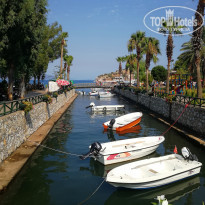 фото из отзыва ID 2058760