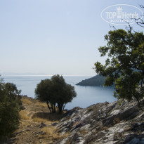 фото из отзыва ID 2058760