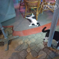 фото из отзыва ID 2060427