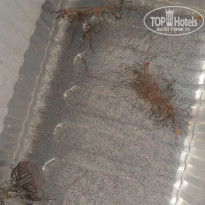 фото из отзыва ID 2061557