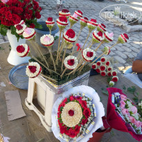 фото из отзыва ID 2062643