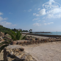 фото из отзыва ID 2062643