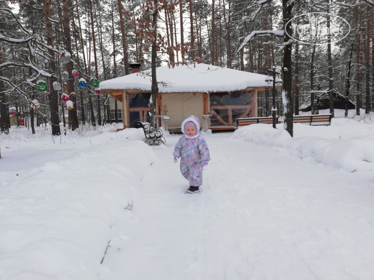 Фотографии отеля  Зеленый Бор 