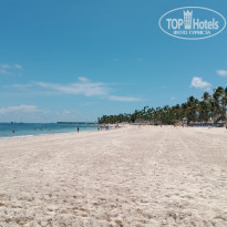 фото из отзыва ID 2063574