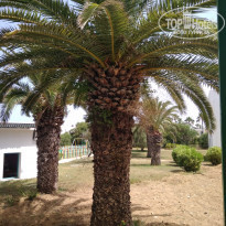 фото из отзыва ID 2064561