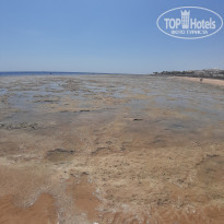 фото из отзыва ID 2064824