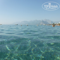 фото из отзыва ID 2068437