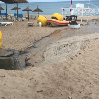 фото из отзыва ID 2069748