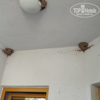 фото из отзыва ID 2071753