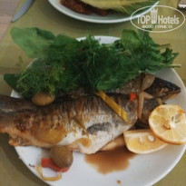 фото из отзыва ID 2073029